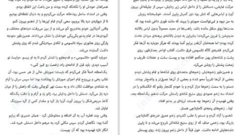دانلود کتاب سایه روباه جولی کاگاوا ۵۰۳ صفحه PDF