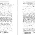 دانلود کتاب سالامبو گوستاو فلوبر ۵۰۹ صفحه PDF