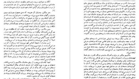 دانلود کتاب سالامبو گوستاو فلوبر ۵۰۹ صفحه PDF