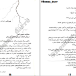 دانلود کتاب مایکل وی طوفان آذرخش جلد۵ ریچارد پل اوانز ۳۲۱ صفحه PDF