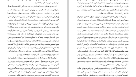 دانلود کتاب استلا یان د هارتوگ ۲۰۷ صفحه PDF