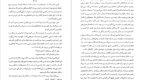 دانلود کتاب استلا یان د هارتوگ ۲۰۷ صفحه PDF