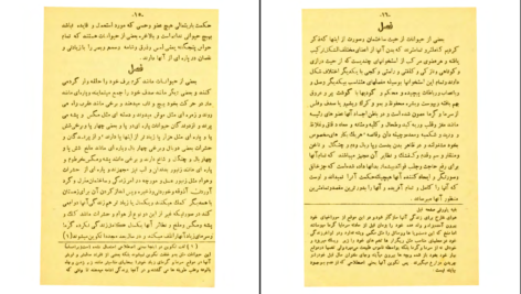 دانلود کتاب محاکمه انسان و حیوان اخوان الصفا ۲۳۵ صفحه PDF