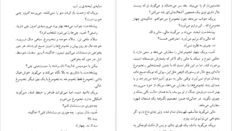 دانلود کتاب مردی در تاریکی پل استر ۲۱۷ صفحه PDF