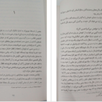 دانلود کتاب هذیان‌های ذهن یک قربانی سال بلو ۳۱۷ صفحه PDF
