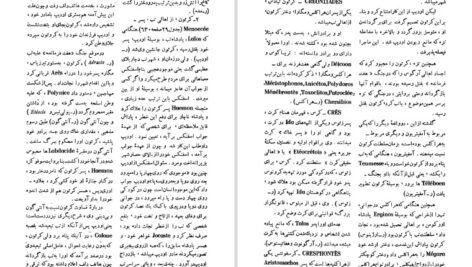 دانلود کتاب فرهنگ اساطیر یونان و رم جلد۱ احمد بهنمش ۵۳۵ صفحهPDF