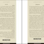دانلود کتاب لاشه لطیف آگوستینا بازتریکا ۲۶۴ صفحه PDF