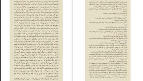 دانلود کتاب لاشه لطیف آگوستینا بازتریکا ۲۶۴ صفحه PDF