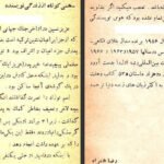 دانلود کتاب سیاحت نامه عزیز نسین ۲۳۸ صفحه PDF