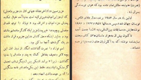 دانلود کتاب سیاحت نامه عزیز نسین ۲۳۸ صفحه PDF