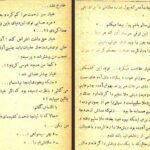دانلود کتاب سیاحت نامه عزیز نسین ۲۳۸ صفحه PDF