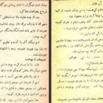 دانلود کتاب سیاحت نامه عزیز نسین ۲۳۸ صفحه PDF