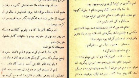 دانلود کتاب سیاحت نامه عزیز نسین ۲۳۸ صفحه PDF