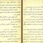 دانلود کتاب سیاحت نامه عزیز نسین ۲۳۸ صفحه PDF