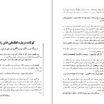 دانلود کتاب لطفعلی خان زند (شکوفه خونین شیراز) داریوش آریا ۵۲۶ صفحه PDF