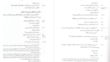 دانلود کتاب عهد جدید پیروز سیار ۱۲۷۹ صفحه PDF