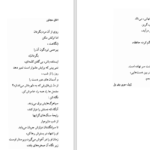 دانلود کتاب خویشاوندان دور کارلوس فوئنتس ۲۶۹ صفحه PDF