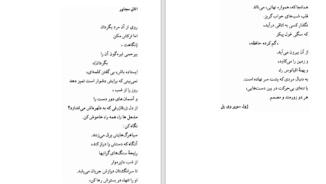 دانلود کتاب خویشاوندان دور کارلوس فوئنتس ۲۶۹ صفحه PDF