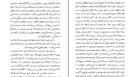 دانلود کتاب شلغم میوه بهشته علی محمد افغانی ۱۷۰ صفحه PDF