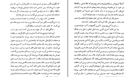 دانلود کتاب شلغم میوه بهشته علی محمد افغانی ۱۷۰ صفحه PDF