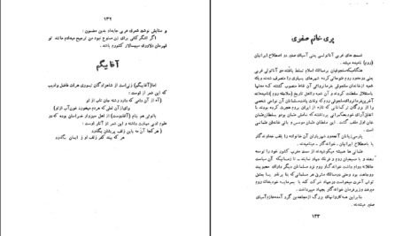 دانلود کتاب شوخی علماء و شمه ای از سرگذشت بانوان هنرمند رحیم زاده صفوی ۲۸۱ صفحه PDF