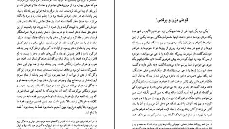 دانلود کتاب فرهنگ عامیانه مردم ایران صادق هدایت ۴۳۳ صفحه PDF