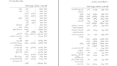 دانلود کتاب فرهنگ واژه سازی در زبان فارسی جلد۲ کامیاب خلیلی ۲۱۱ صفحه PDF