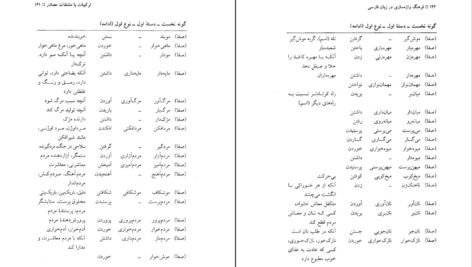 دانلود کتاب فرهنگ واژه سازی در زبان فارسی جلد۲ کامیاب خلیلی ۲۱۱ صفحه PDF