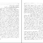 دانلود کتاب فصلی در سینما پرویز شفا ۱۷۴ صفحه PDF