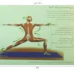 دانلود کتاب یوگا و آناتومی ری لانگ ۲۰۲ صفحه PDF