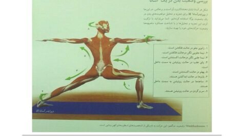 دانلود کتاب یوگا و آناتومی ری لانگ ۲۰۲ صفحه PDF