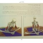 دانلود کتاب یوگا و آناتومی ری لانگ ۲۰۲ صفحه PDF