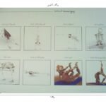 دانلود کتاب یوگا و آناتومی ری لانگ ۲۰۲ صفحه PDF