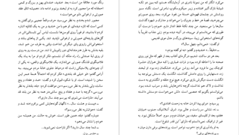 دانلود کتاب نجواها و دروغ‌ها جوی فیلدینگ ۳۹۵ صفحه PDF