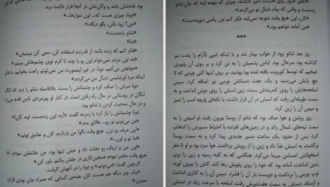 دانلود کتاب گرگ در سایه دیوید گمل ۴۸۰ صفحه PDF