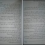 دانلود کتاب گرگ در سایه دیوید گمل ۴۸۰ صفحه PDF