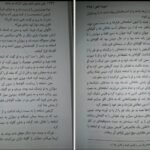 دانلود کتاب گرگ در سایه دیوید گمل ۴۸۰ صفحه PDF