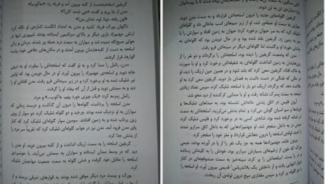 دانلود کتاب گرگ در سایه دیوید گمل ۴۸۰ صفحه PDF