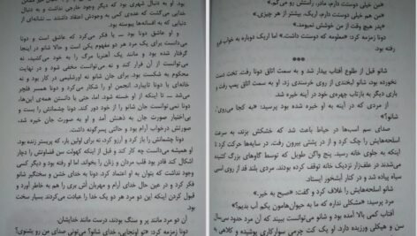 دانلود کتاب گرگ در سایه دیوید گمل ۴۸۰ صفحه PDF
