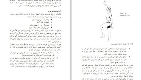 دانلود کتاب طب انرژی دانا ایدن ۴۶۰ صفحه PDF