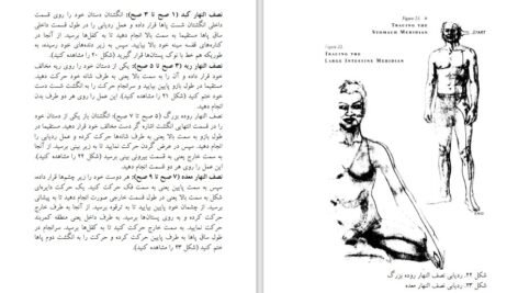 دانلود کتاب طب انرژی دانا ایدن ۴۶۰ صفحه PDF