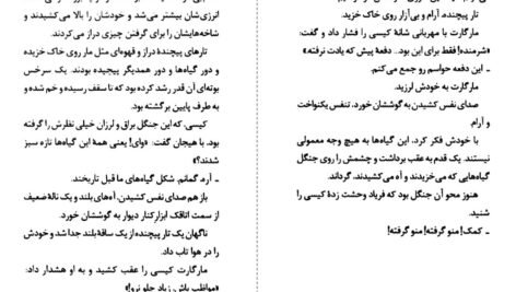 دانلود کتاب به زیرزمین نزدیک نشو آر. ال. استاین ۱۷۲ صفحه PDF
